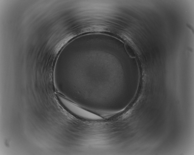 X0000099951081200806061536