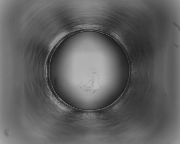 X0000099951082200806061536