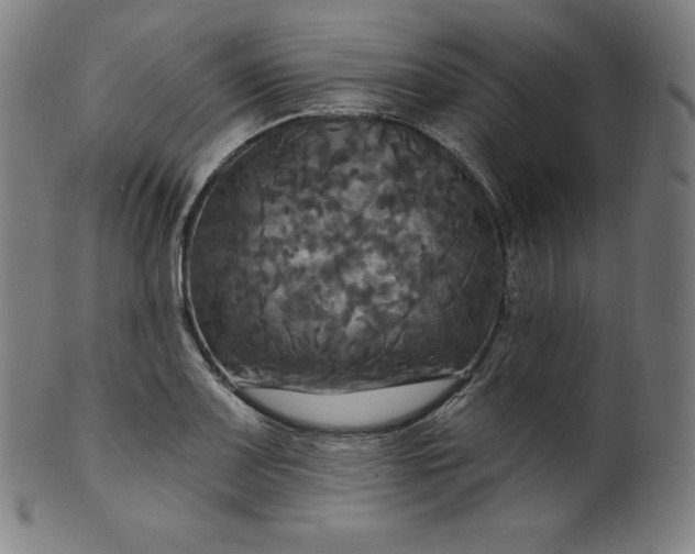 X0000099951083200806061536