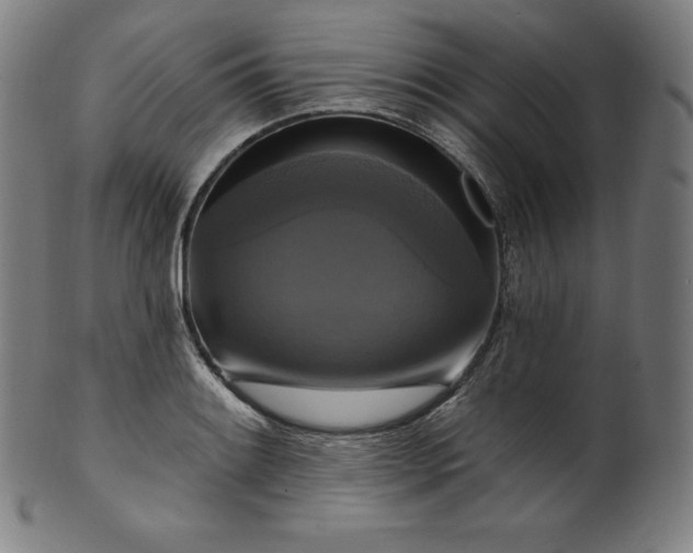 X0000099951084200806061536