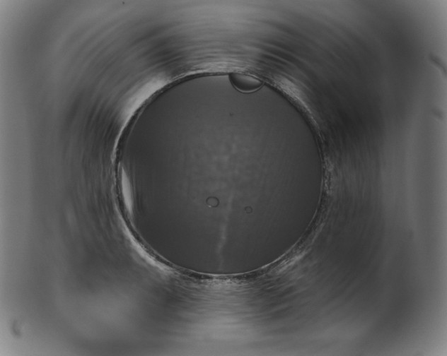 X0000099951087200806061536