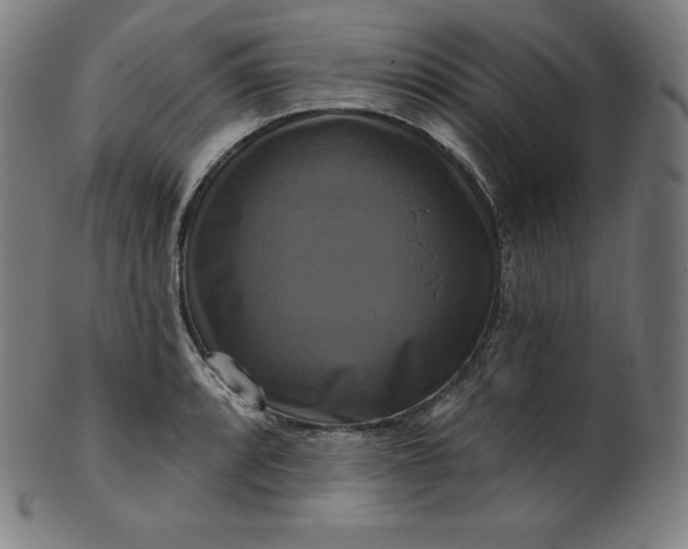 X0000099951088200806061536