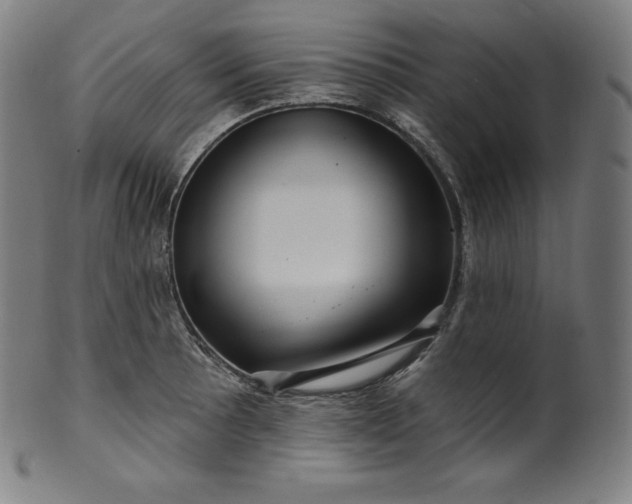 X0000099951089200806061536