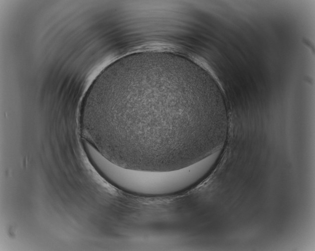 X0000099951091200806061536