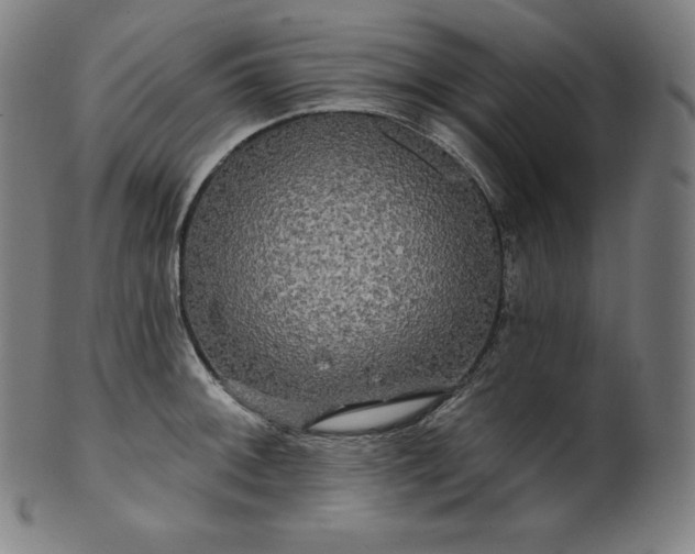 X0000099951092200806061536