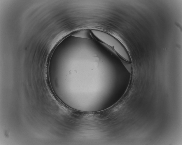 X0000099951093200806061536