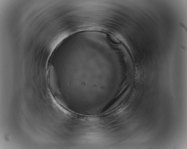 X0000099951095200806061536