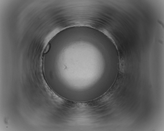 X0000099951096200806061536