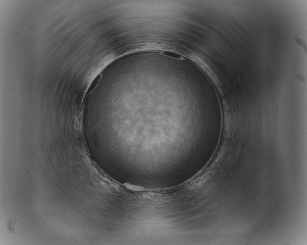 X0000099951097200806061536