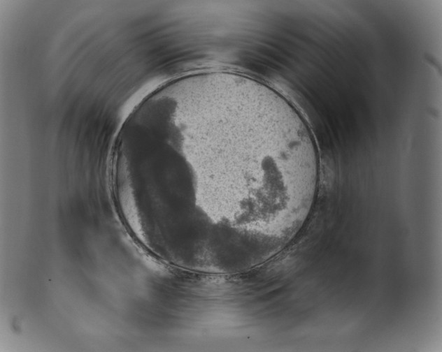 X0000099951098200806061536