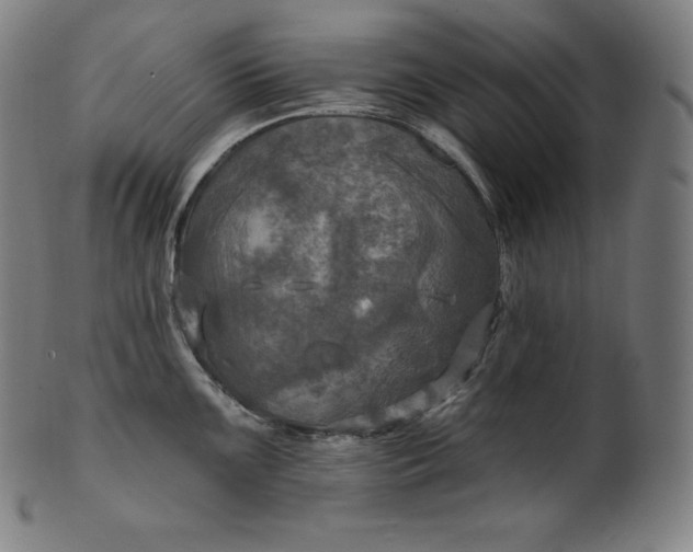 X0000099951099200806061536