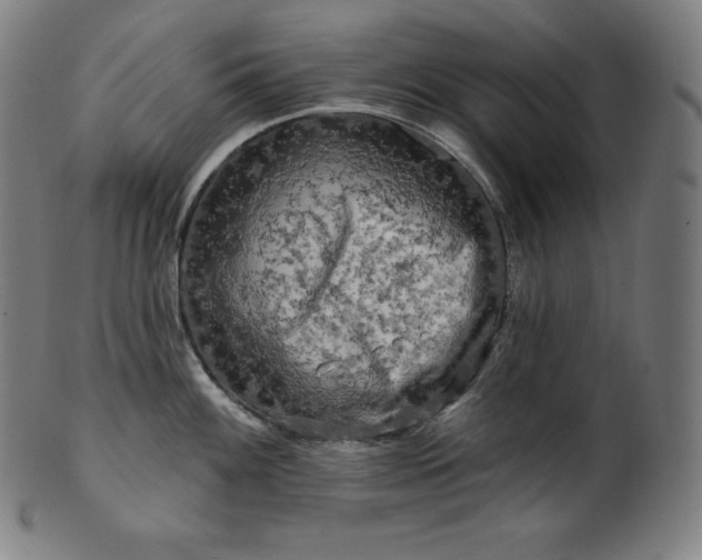 X0000099951100200806061536