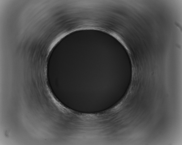 X0000099951101200806061536