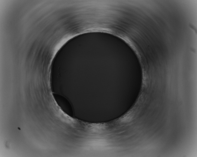 X0000099951102200806061536