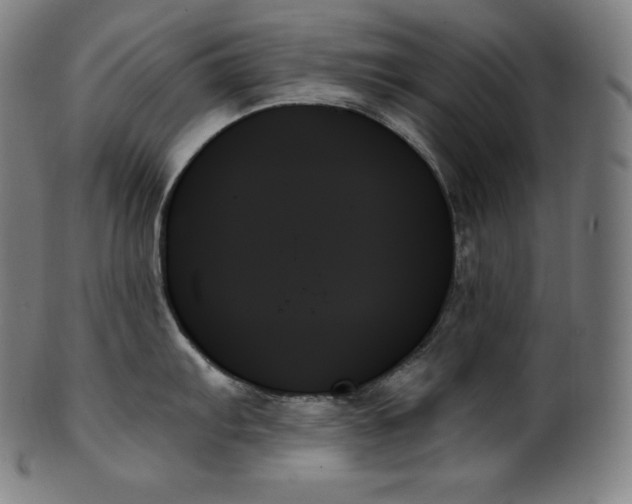 X0000099951103200806061536