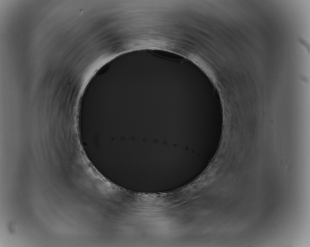 X0000099951104200806061536