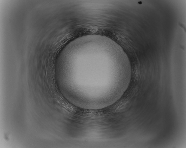 X0000099951105200806061535