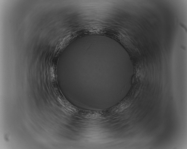 X0000099951106200806061535