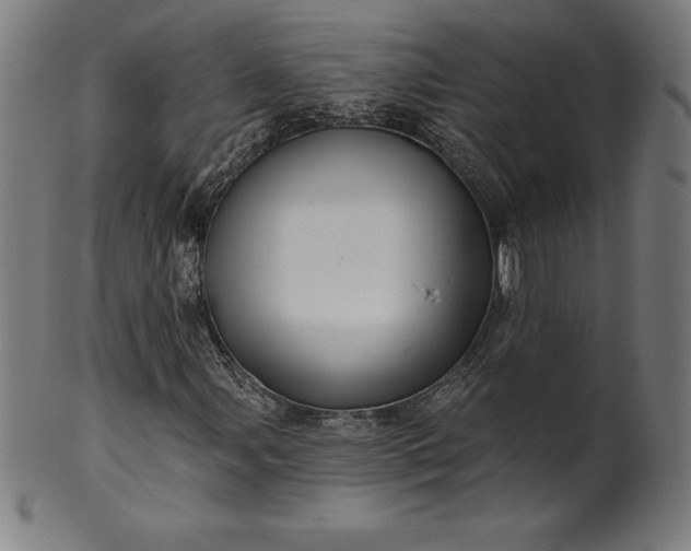 X0000099951107200806061535