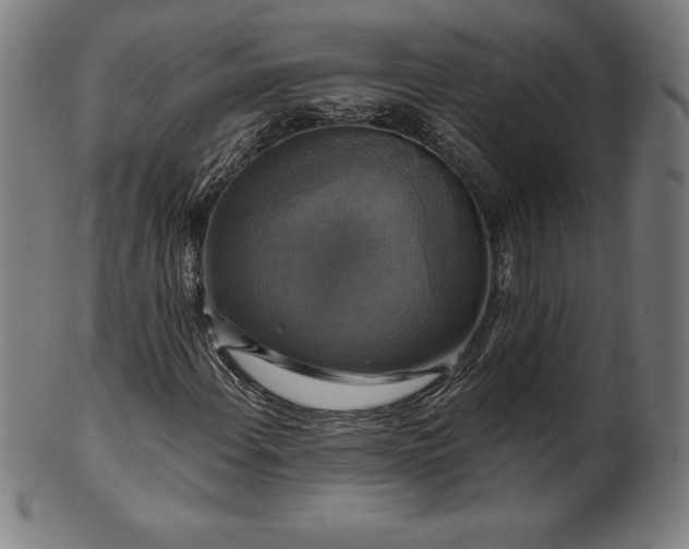 X0000099951108200806061535