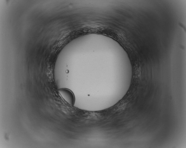 X0000099951109200806061535