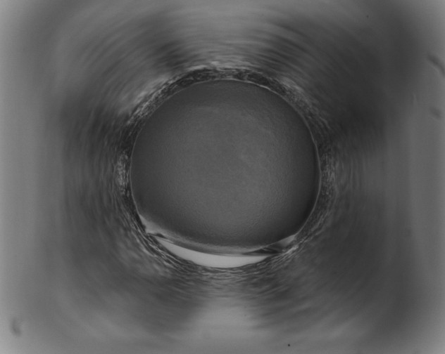 X0000099951110200806061536