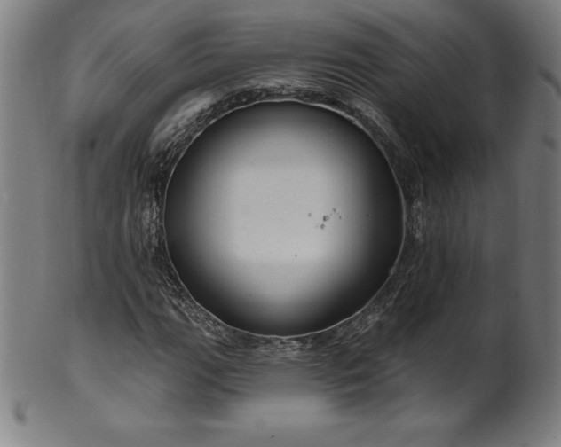 X0000099951111200806061536