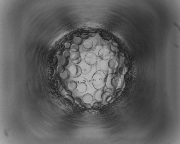 X0000099951112200806061536