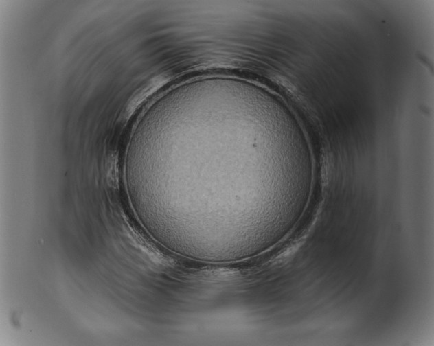 X0000099951113200806061536