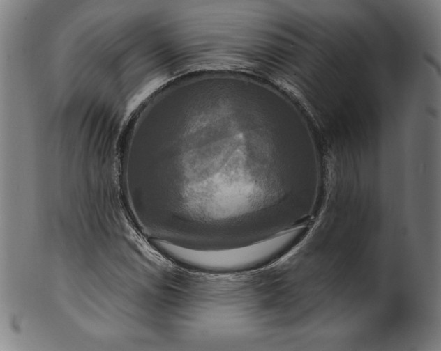 X0000099951114200806061536