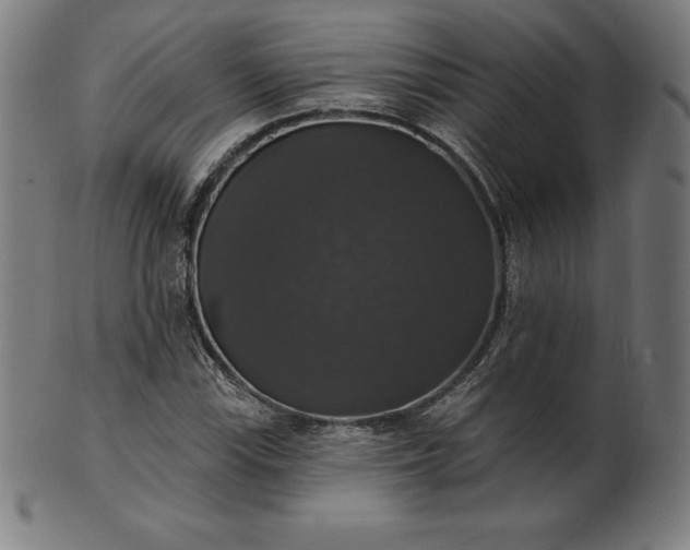 X0000099951115200806061536