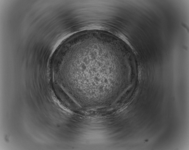 X0000099951116200806061536