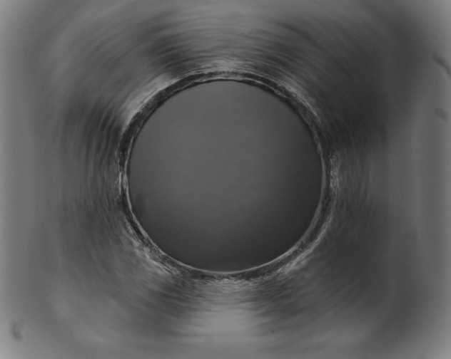 X0000099951117200806061536