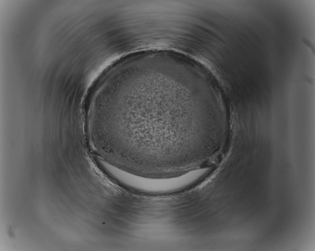 X0000099951118200806061536