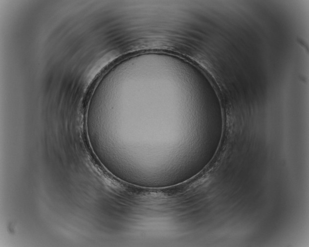 X0000099951119200806061536