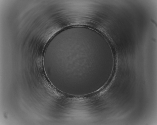 X0000099951121200806061536