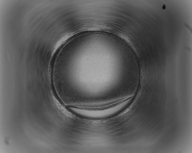 X0000099951122200806061536