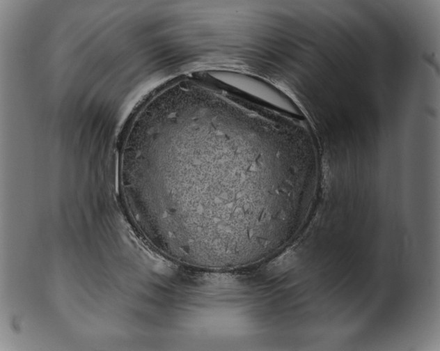 X0000099951123200806061536