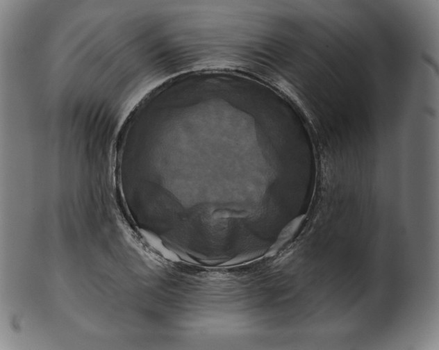 X0000099951124200806061536