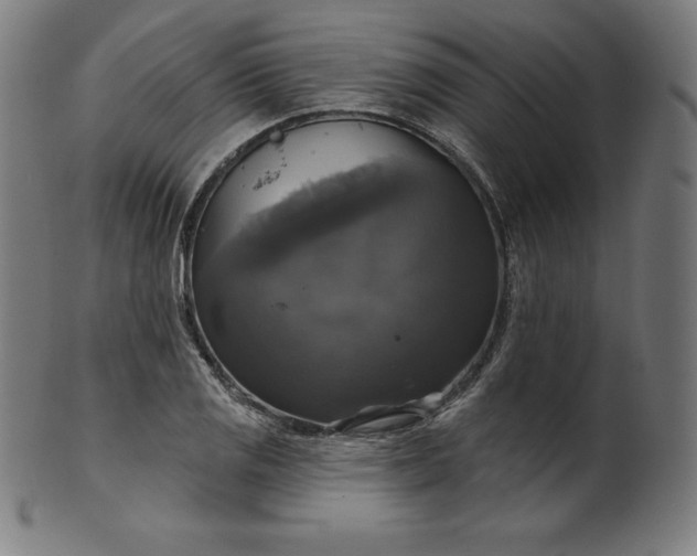 X0000099951125200806061536