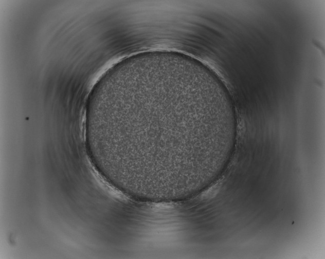 X0000099951126200806061536