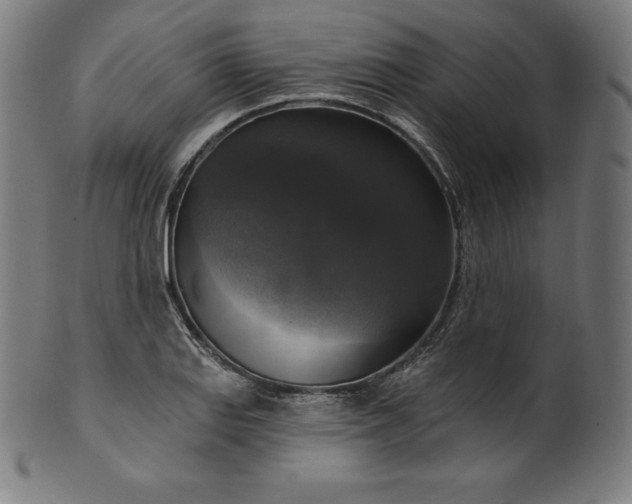 X0000099951127200806061536