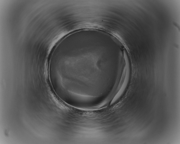 X0000099951128200806061536