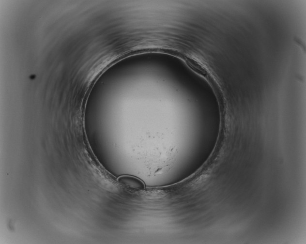 X0000099951129200806061536