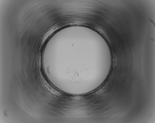 X0000099951130200806061536