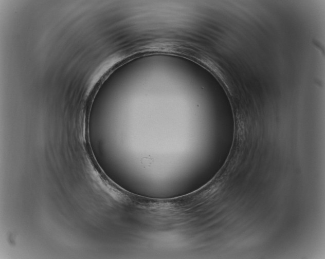 X0000099951131200806061536