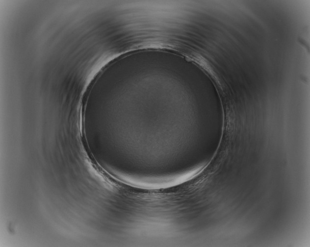 X0000099951132200806061536