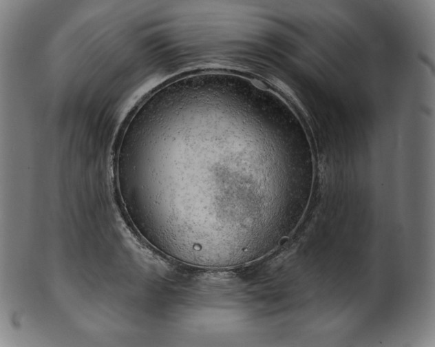 X0000099951133200806061536