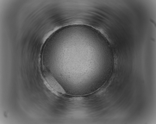 X0000099951134200806061536