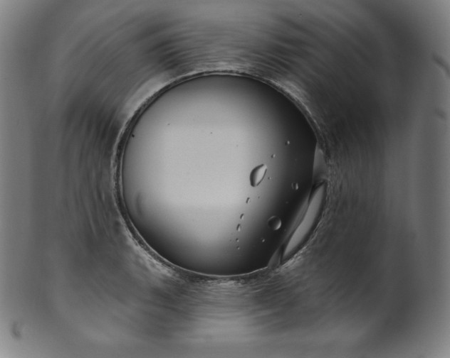 X0000099951135200806061536